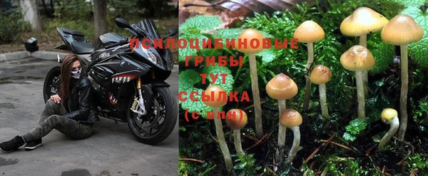 каннабис Абдулино