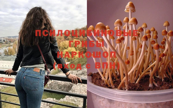 каннабис Абдулино