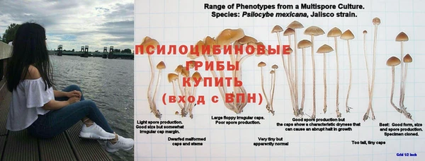 марки nbome Абинск